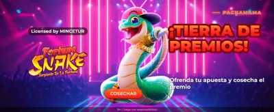Fortune Snake